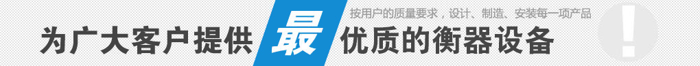 上海讚維衡器有（yǒu）限公司